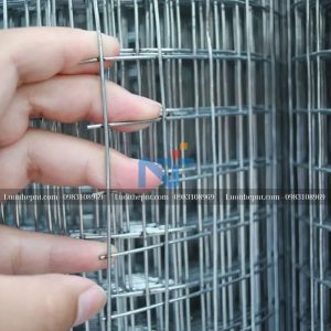 Lưới thép hàn dạng cuộn mạ kẽm